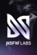 Logo of NSFW Labs